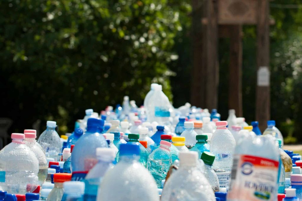 Innovative Zero Waste Solutions for Restaurant Operations