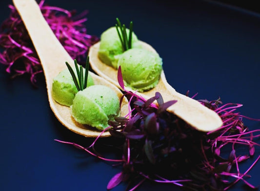 Plain Spoons with Rosemary Sorbet