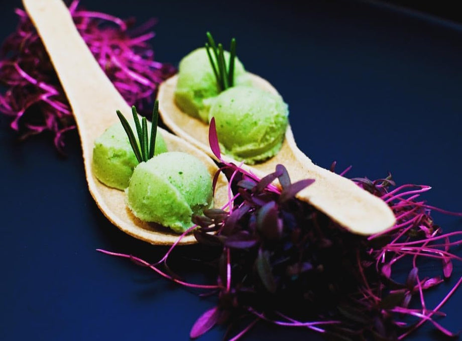 Plain Spoons with Rosemary Sorbet