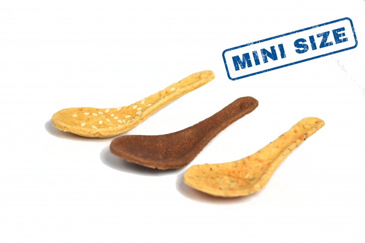 Miniature Size Spoon