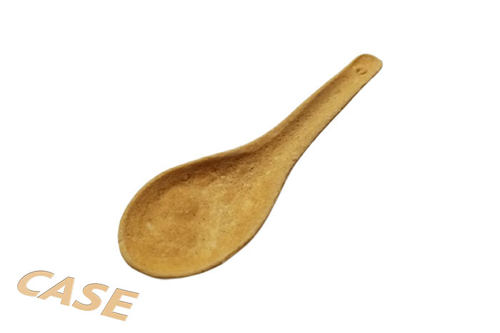 Plain Spoon in Case