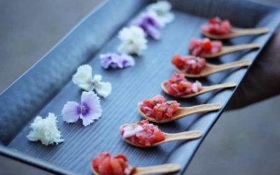 How to Grow Your Catering Business In A Green Way